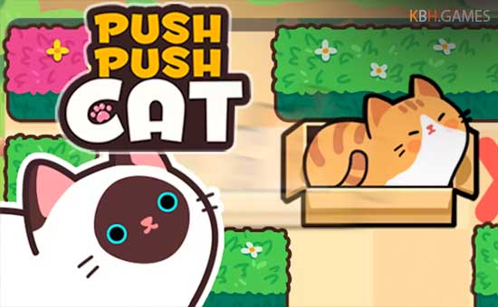 Push Push Cat